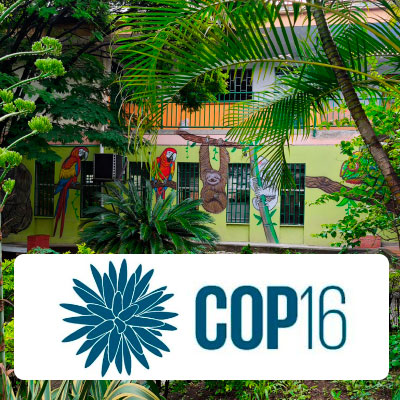 Sede COP 16