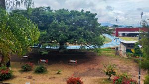 Transformación Espacios